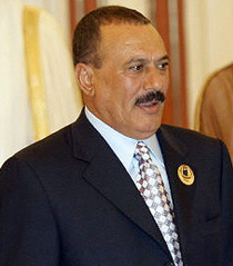 1111salh-so.jpg