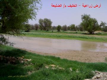 111dhlayah.jpg