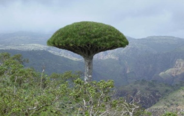 11sogatra_20140918_4.jpg