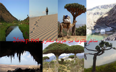 1soqtrah_2012-11.jpg