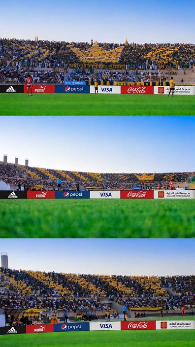 455534.jpg