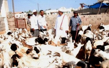 mukalla_jam3yah_eslamiah_3eed_01.jpg