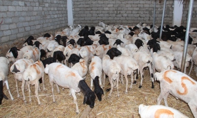 news_20151001_1.JPG