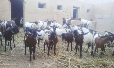 news_20160917_22.jpg