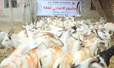 news_20210727_05.jpg