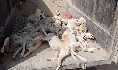 news_20230918_06.jpg