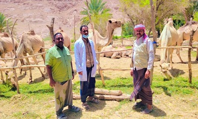 news_20260526_02.jpg