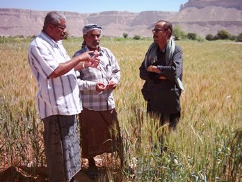 qatn-gamh.JPG