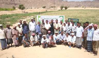 yoom-hgl-say2010.jpg
